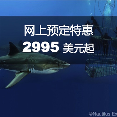 船宿 | 墨西哥瓜达卢佩岛大白鲨